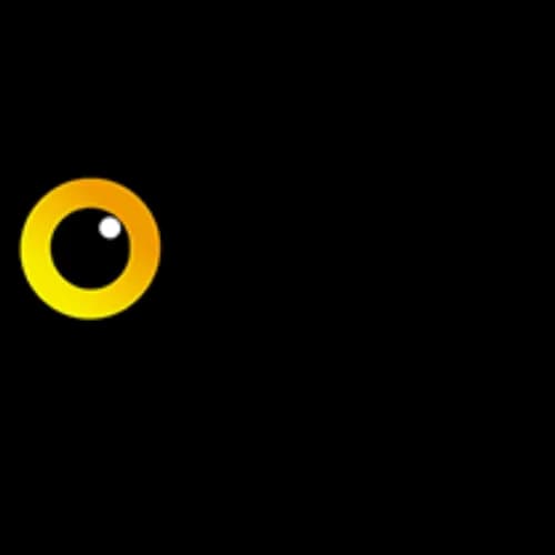 Project Today logo